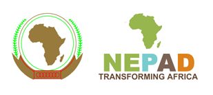 NEPAD’s 5% Agenda initiative for infrastructure financing in Africa Launched