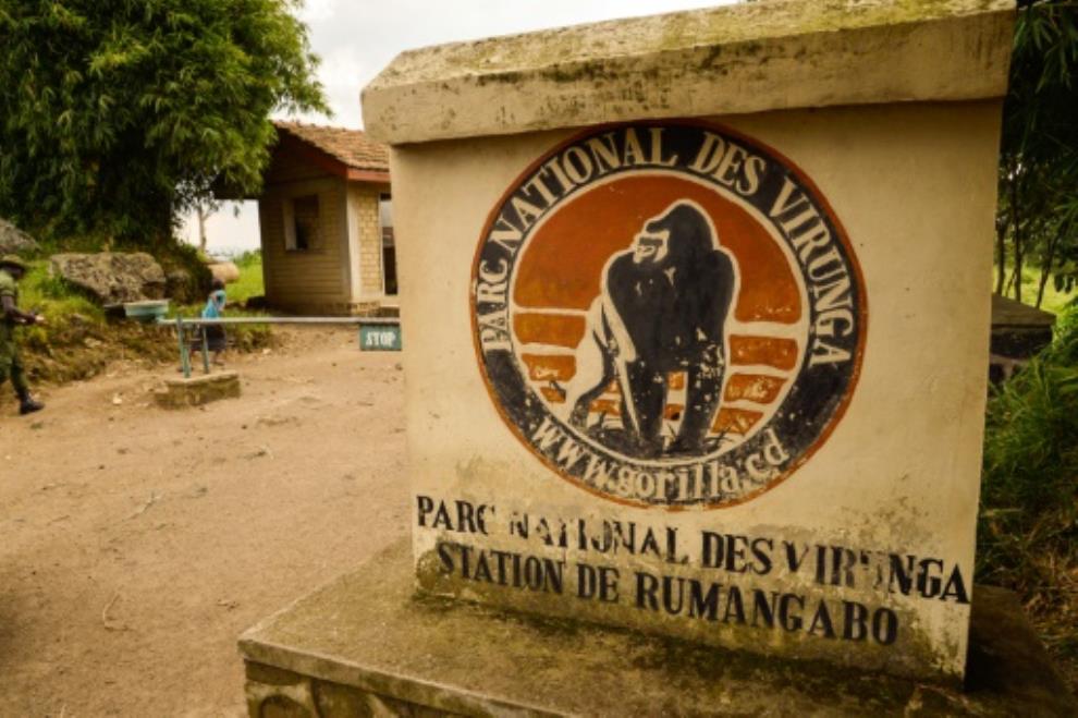 DR Congo planning to allow oil exploration in national parks: NGO